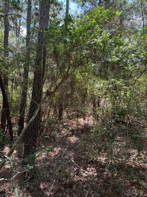 Lot 250 Hekili DR — photo 3