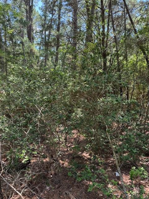 Lot 250 Hekili DR — photo 4