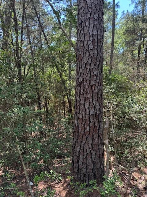 Lot 250 Hekili DR — photo 5