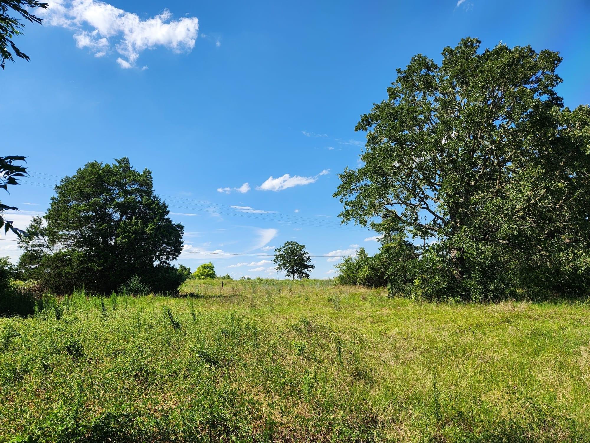 Lot-1 FM-2336 — photo 3