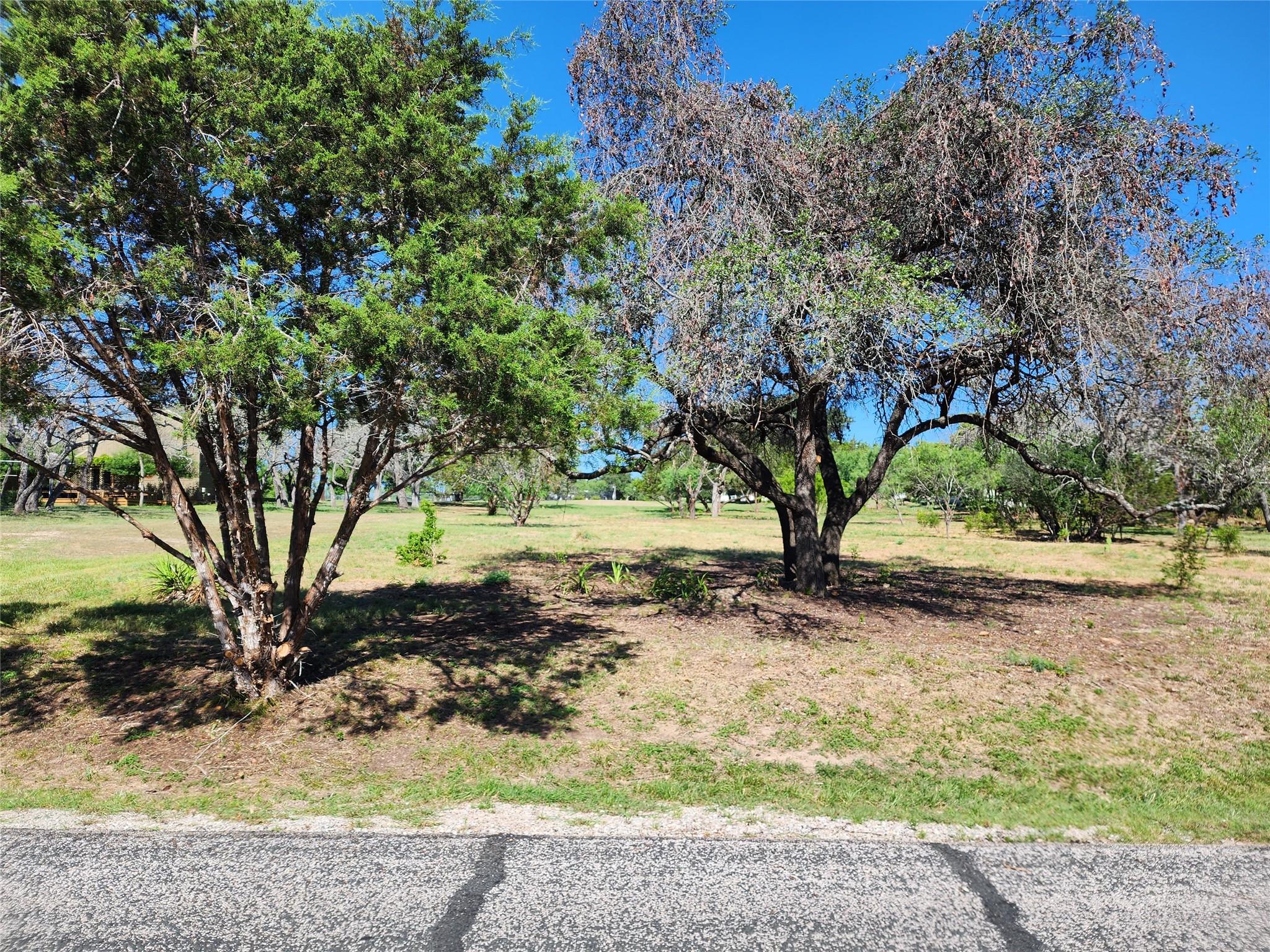 314 Coventry   (Lot 374) DR — photo 3