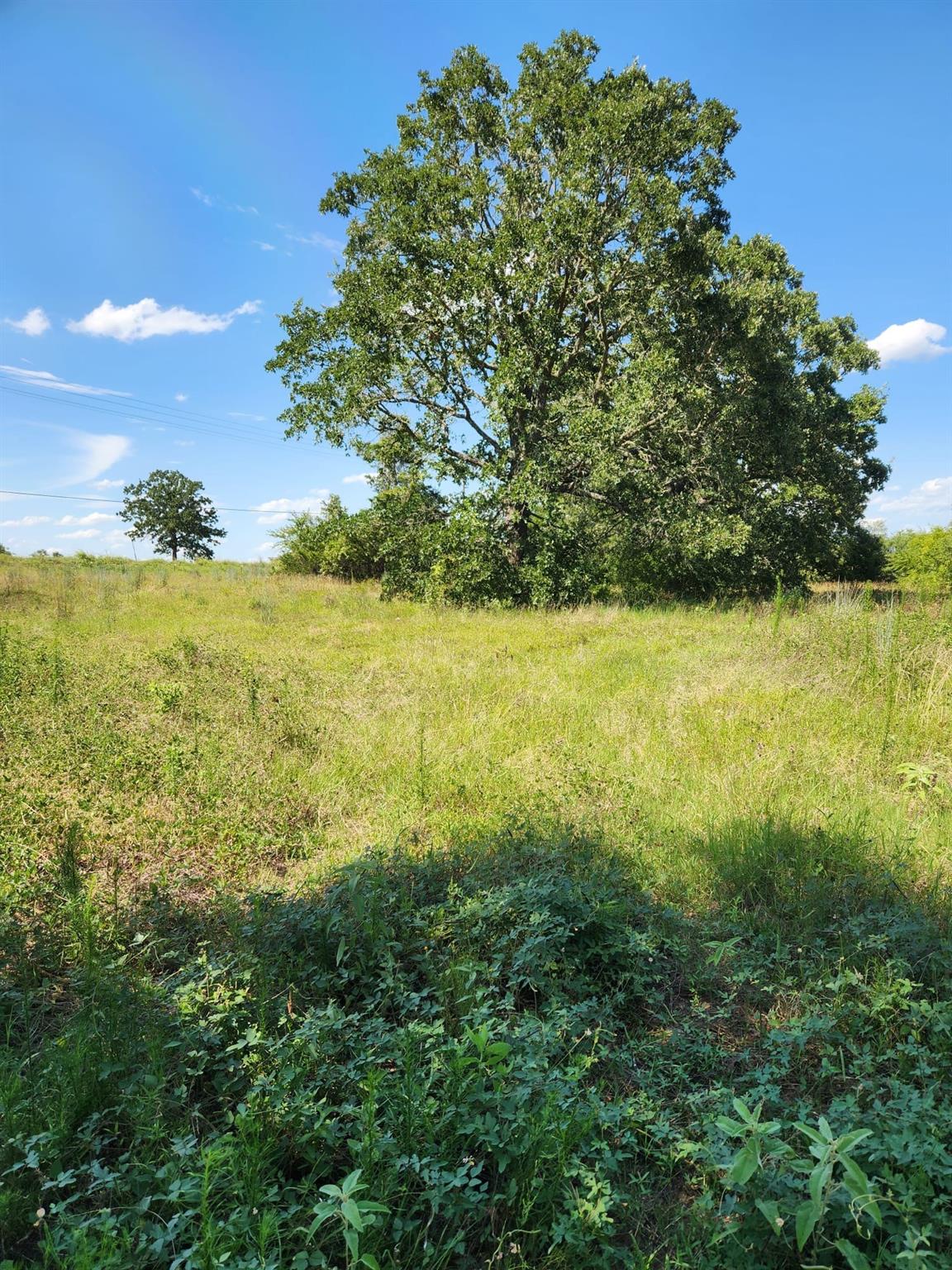 Lot-2 Fm 2336 — photo 3