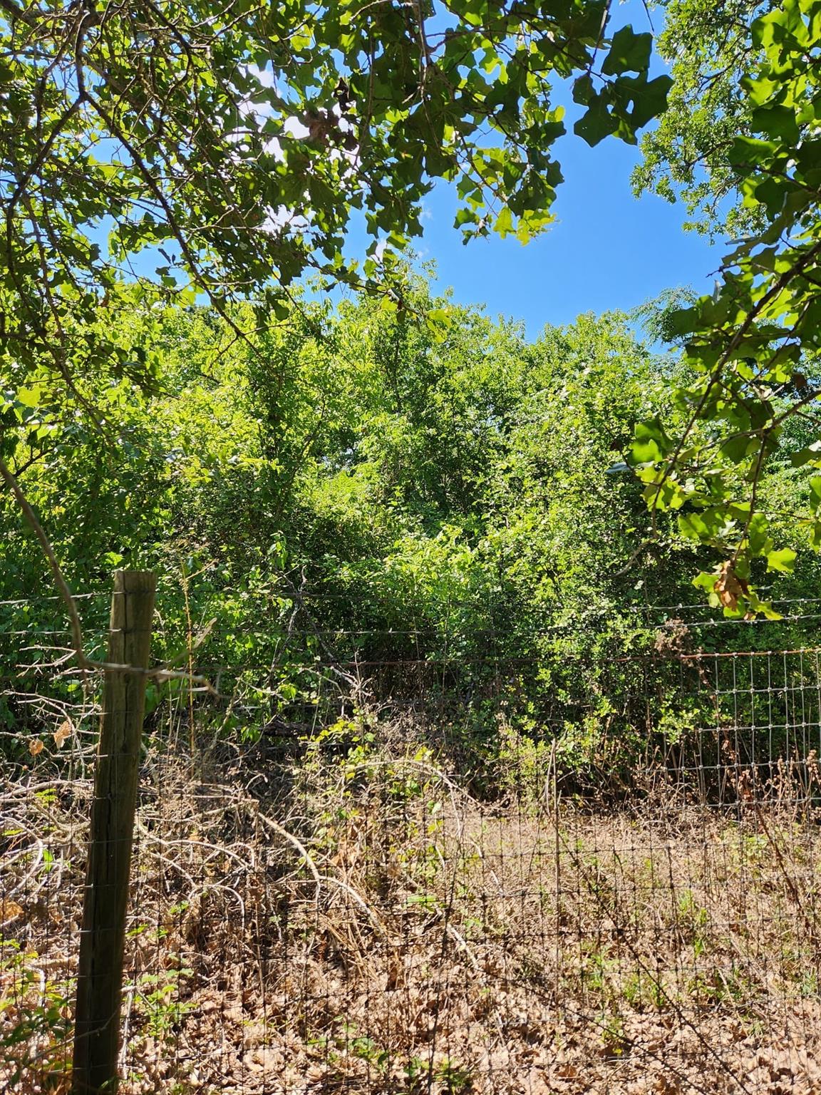 Lot-49 Flaming Oak Drive — photo 3