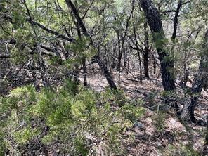 20610 Agarita DR — photo 4