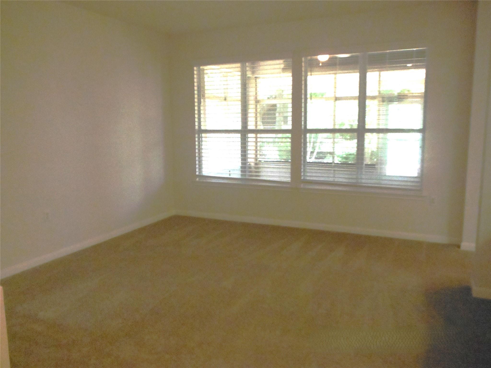 103 Anemone CIR — photo 4