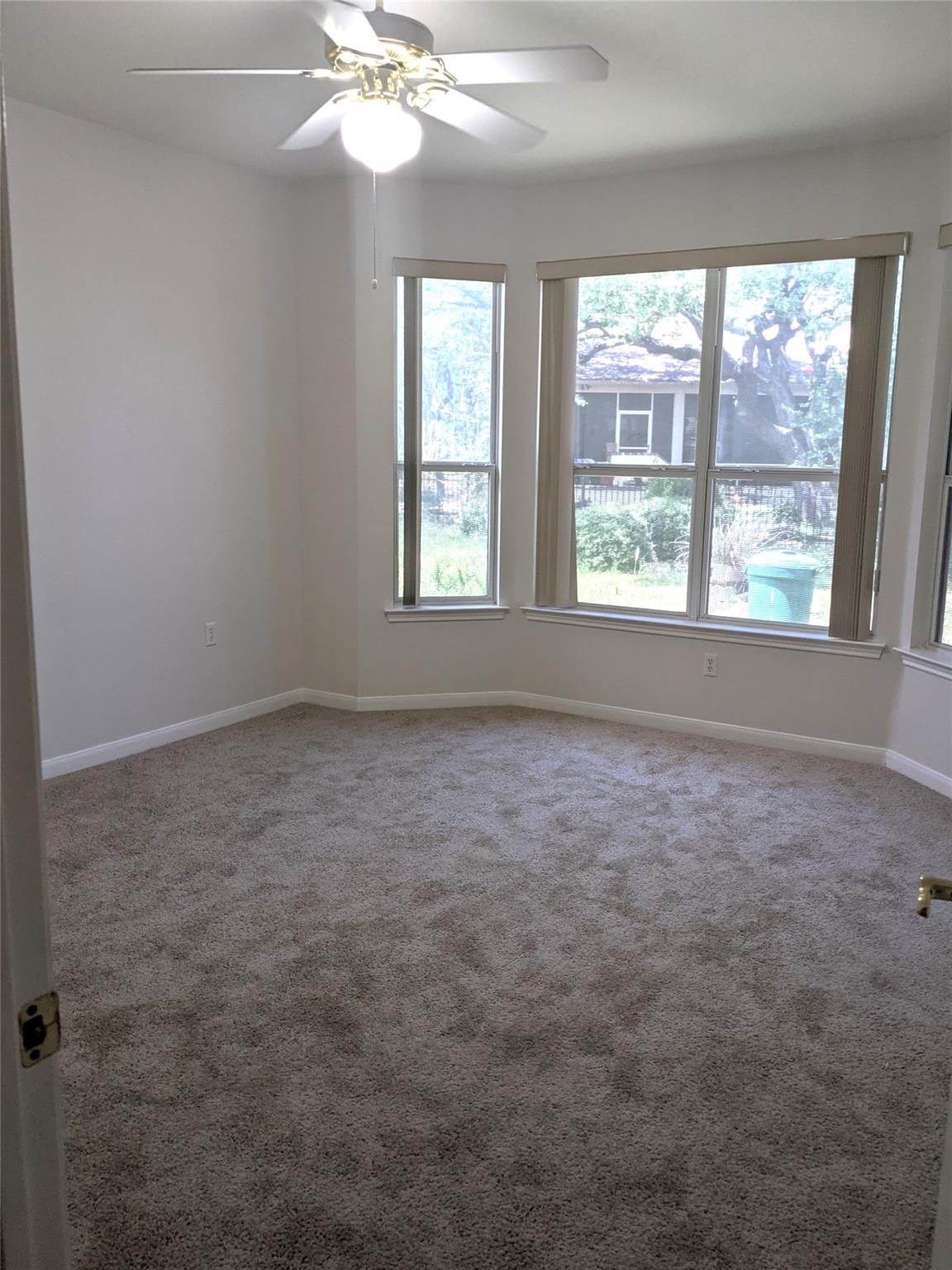 103 Anemone CIR — photo 5