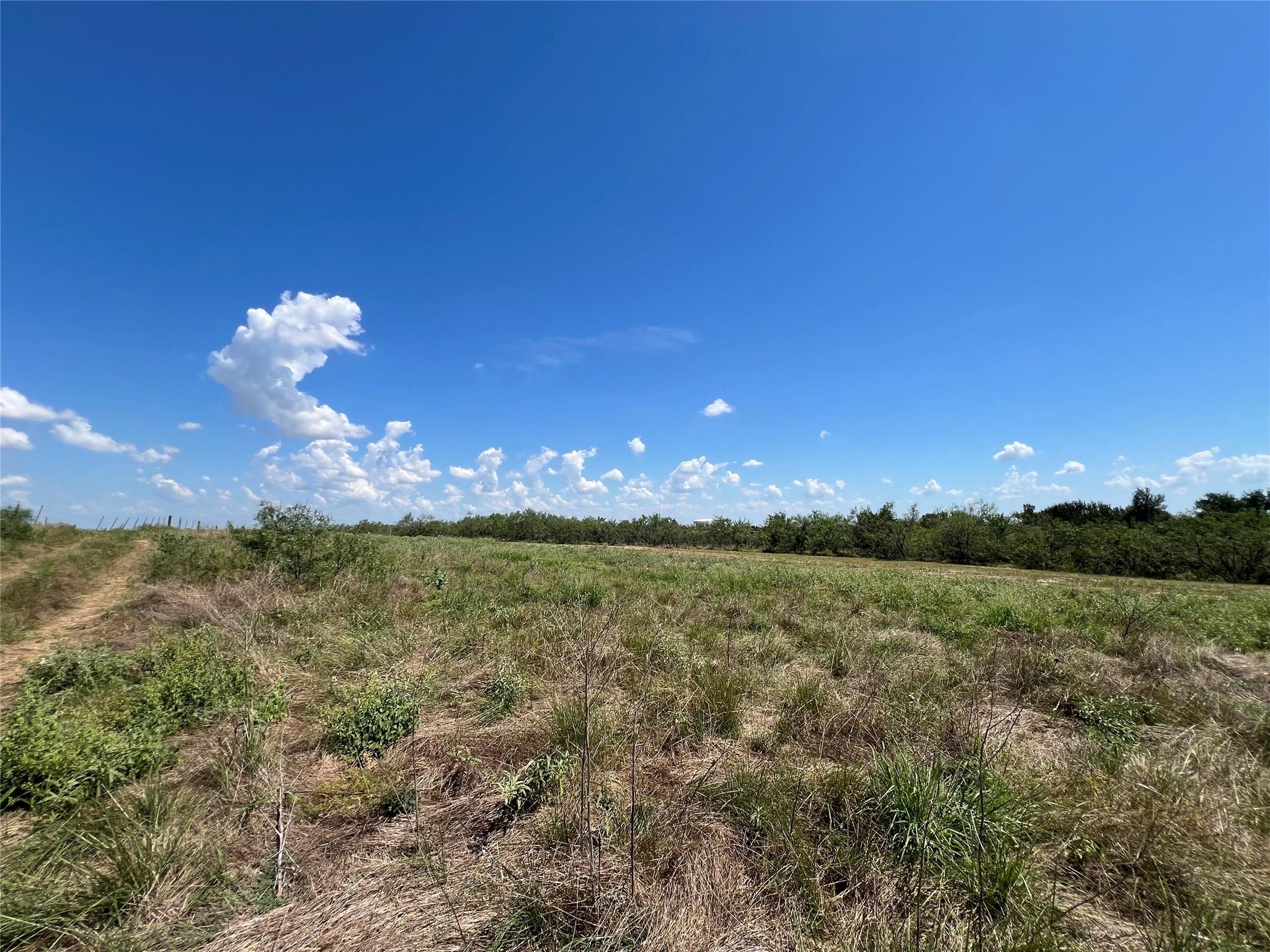 2614 CR 466 — photo 5
