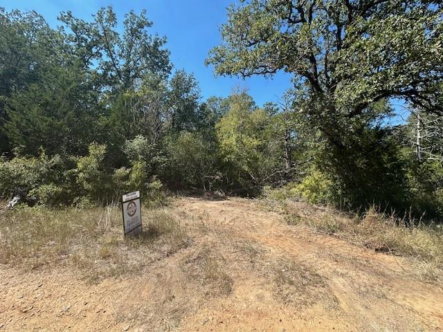 0 Tbd lot 102 and lot 100 Ripple Brook DR — photo 4