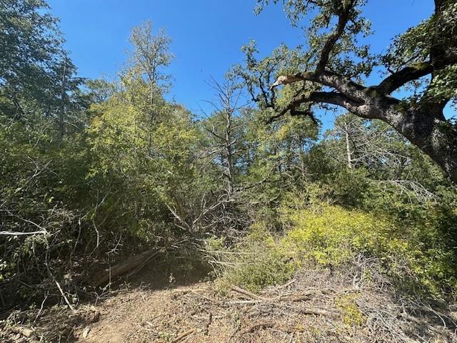 0 Tbd lot 102 and lot 100 Ripple Brook DR — photo 5