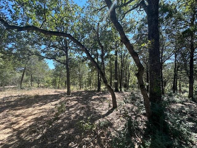 0 TBD lot 103 Ripple Brook DR — photo 4