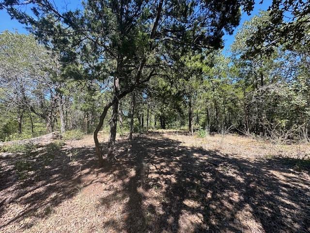 0 TBD lot 103 Ripple Brook DR — photo 5