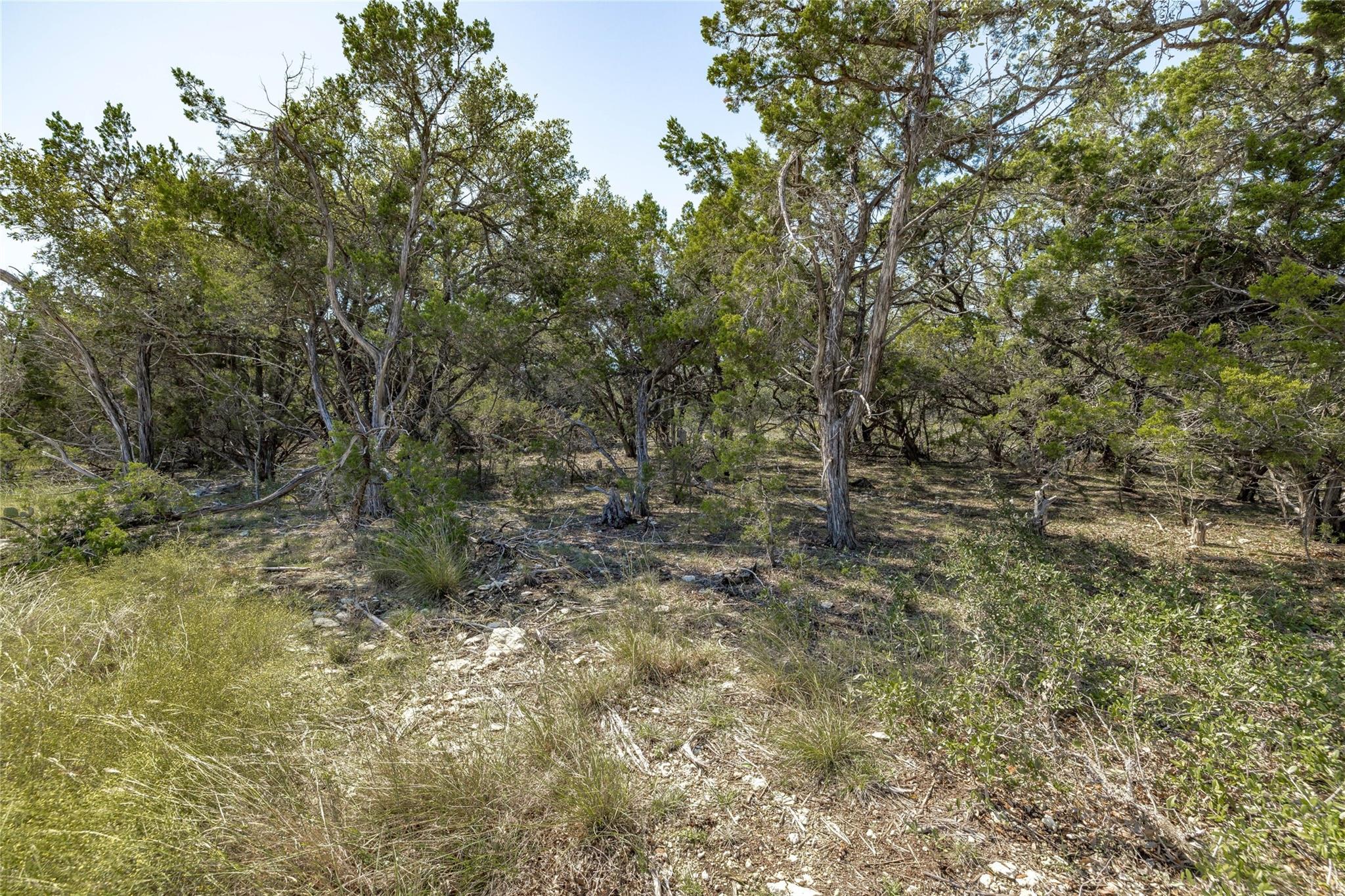 TBD County Road 281 Lot 2 — photo 5