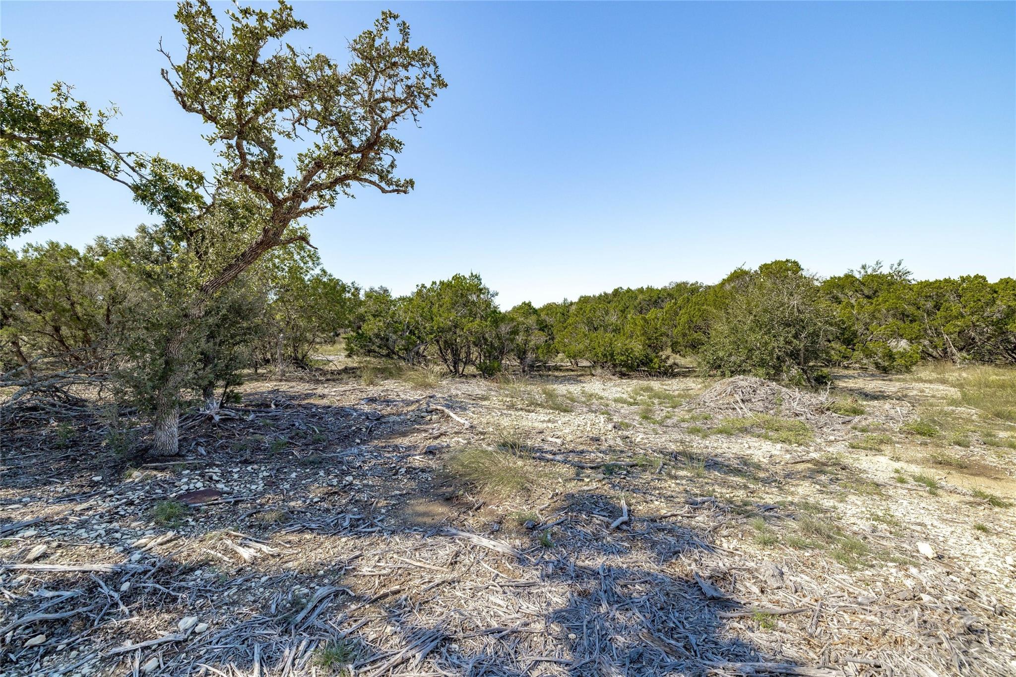 TBD County Road 281 Lot 2 — photo 3
