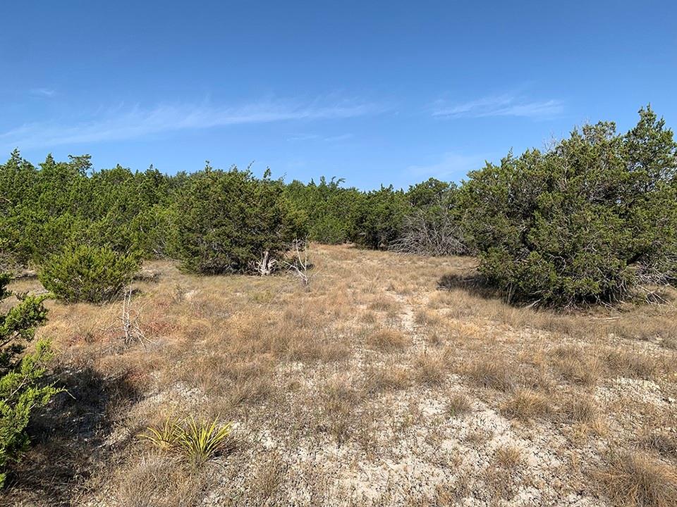 0 Westward Look — photo 4