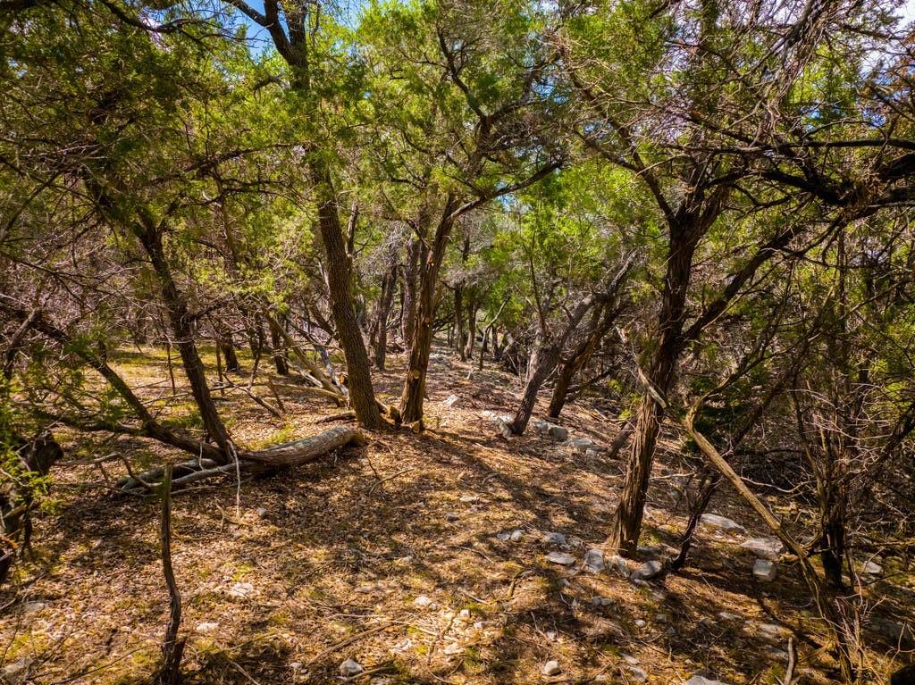 13409 Madrone Mountain WAY — photo 4
