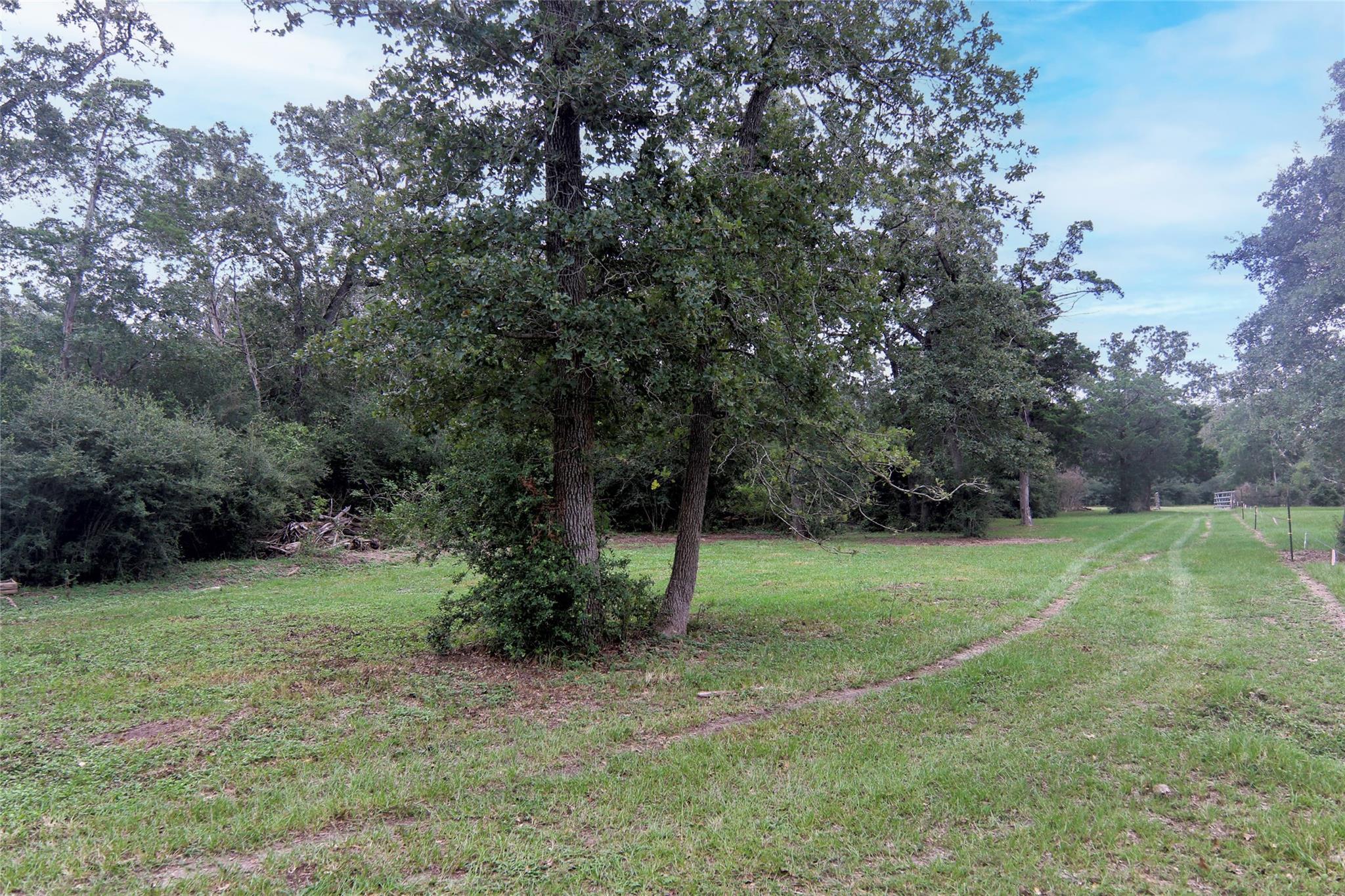 4744 Freyburg Hall RD — photo 3