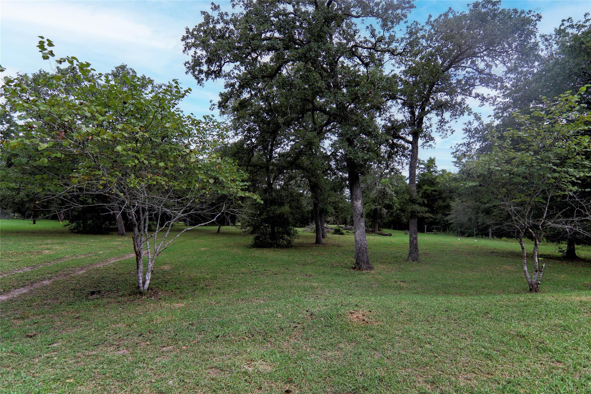 4744 Freyburg Hall RD — photo 4