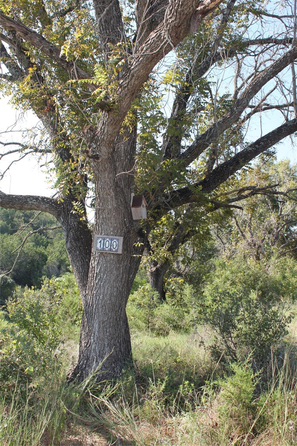 Lot 100 Saddle Ridge DR — photo 3