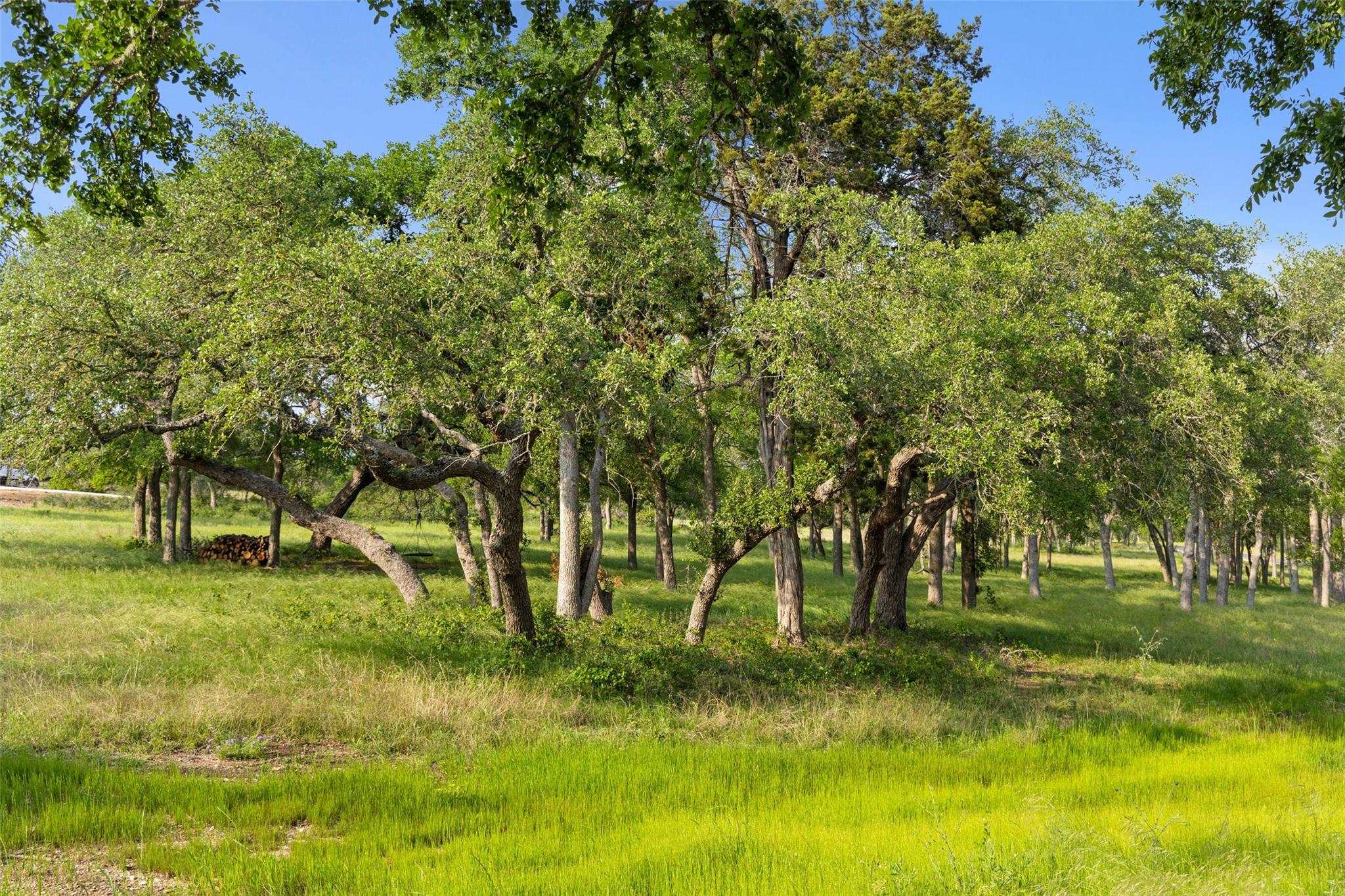 #24 Mesa Ranch RD — photo 5