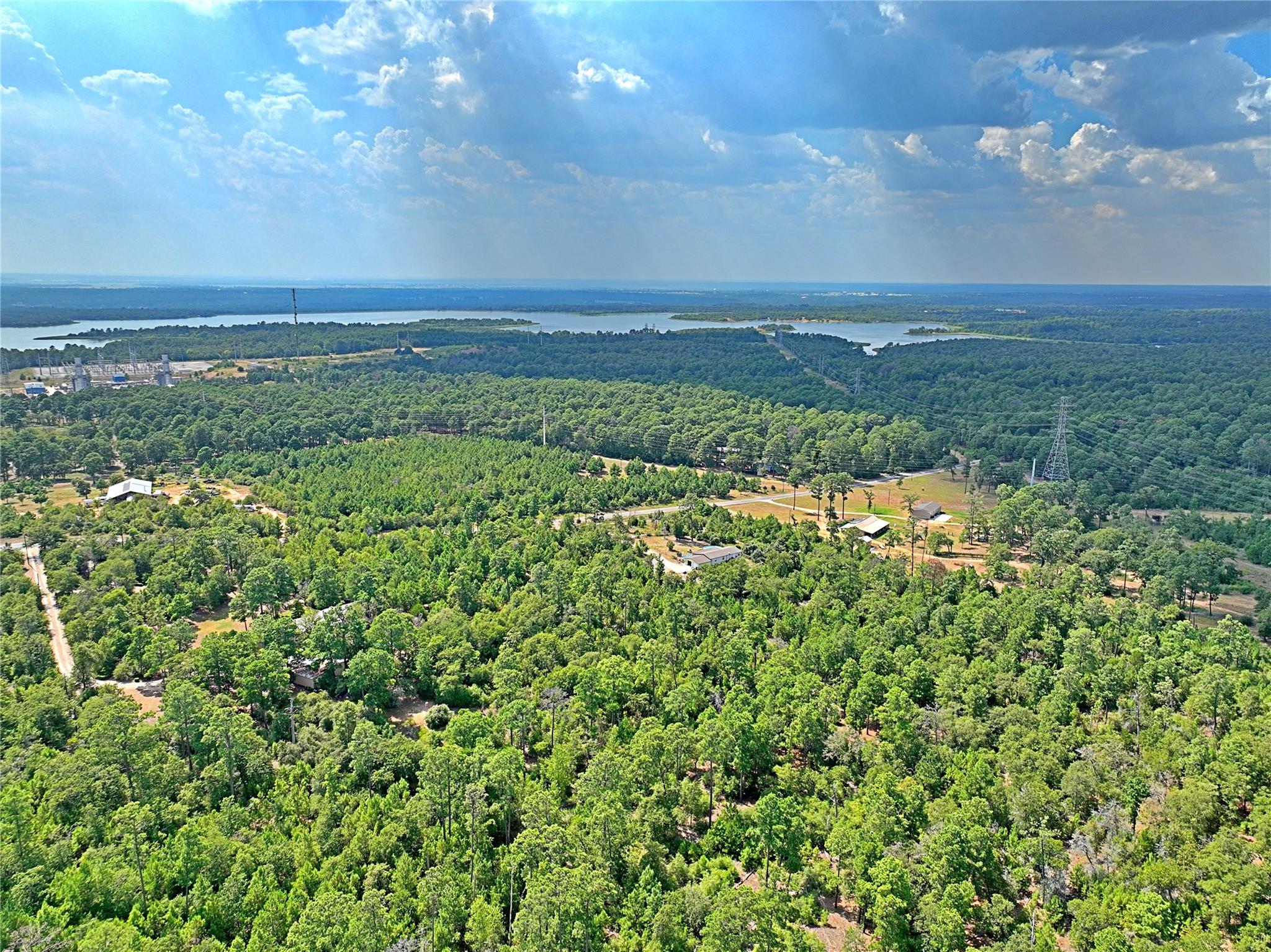 TBD PINE TREE LOOP — photo 3