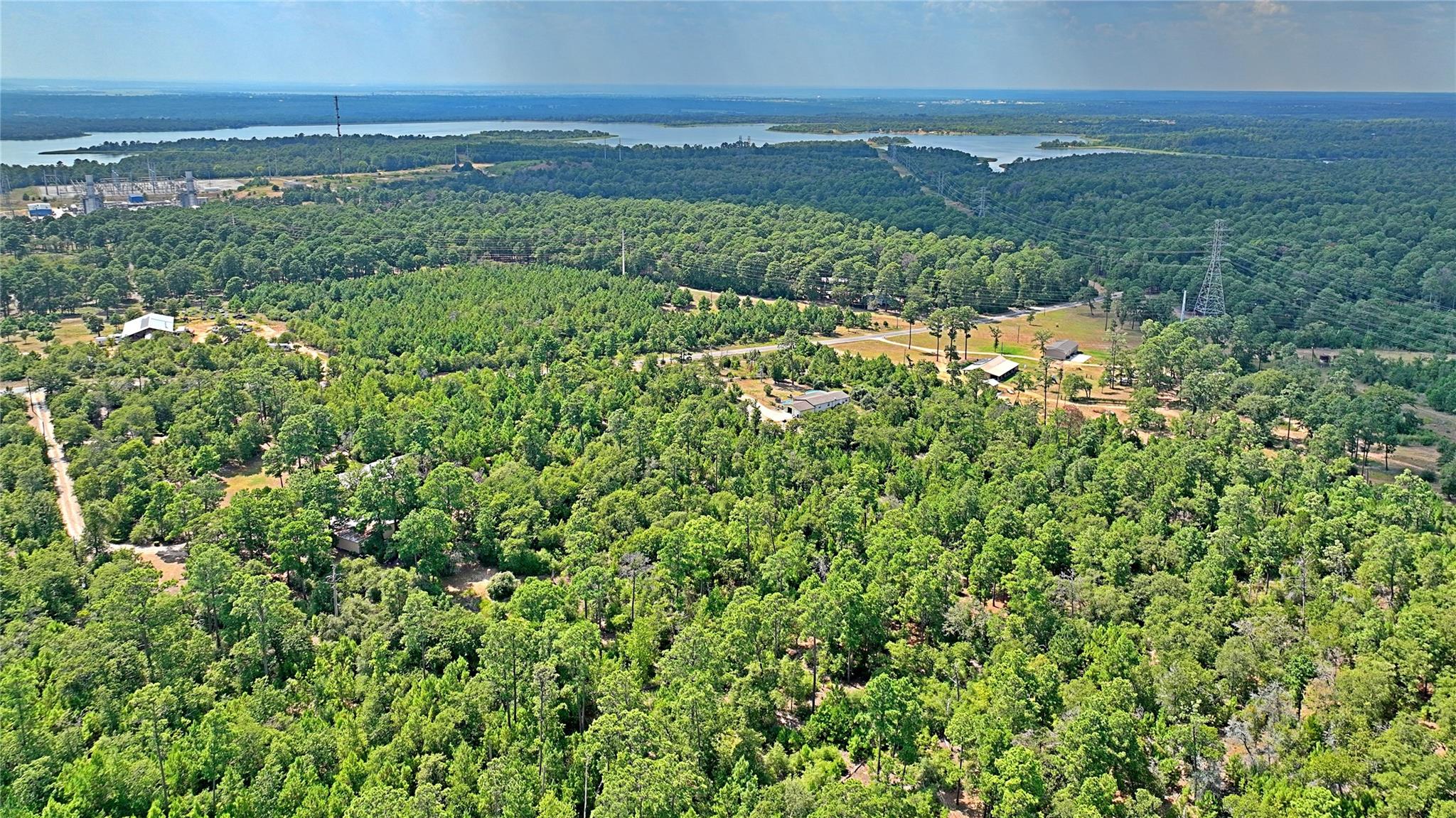 TBD PINE TREE LOOP — photo 4