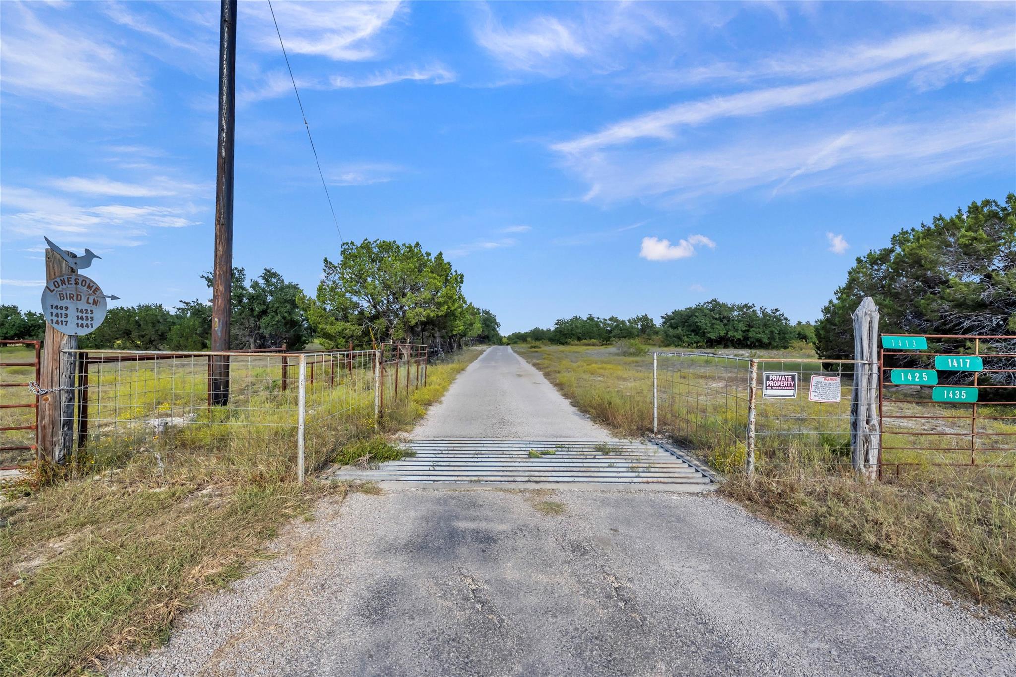 TBD Lonesome Bird LN — photo 4