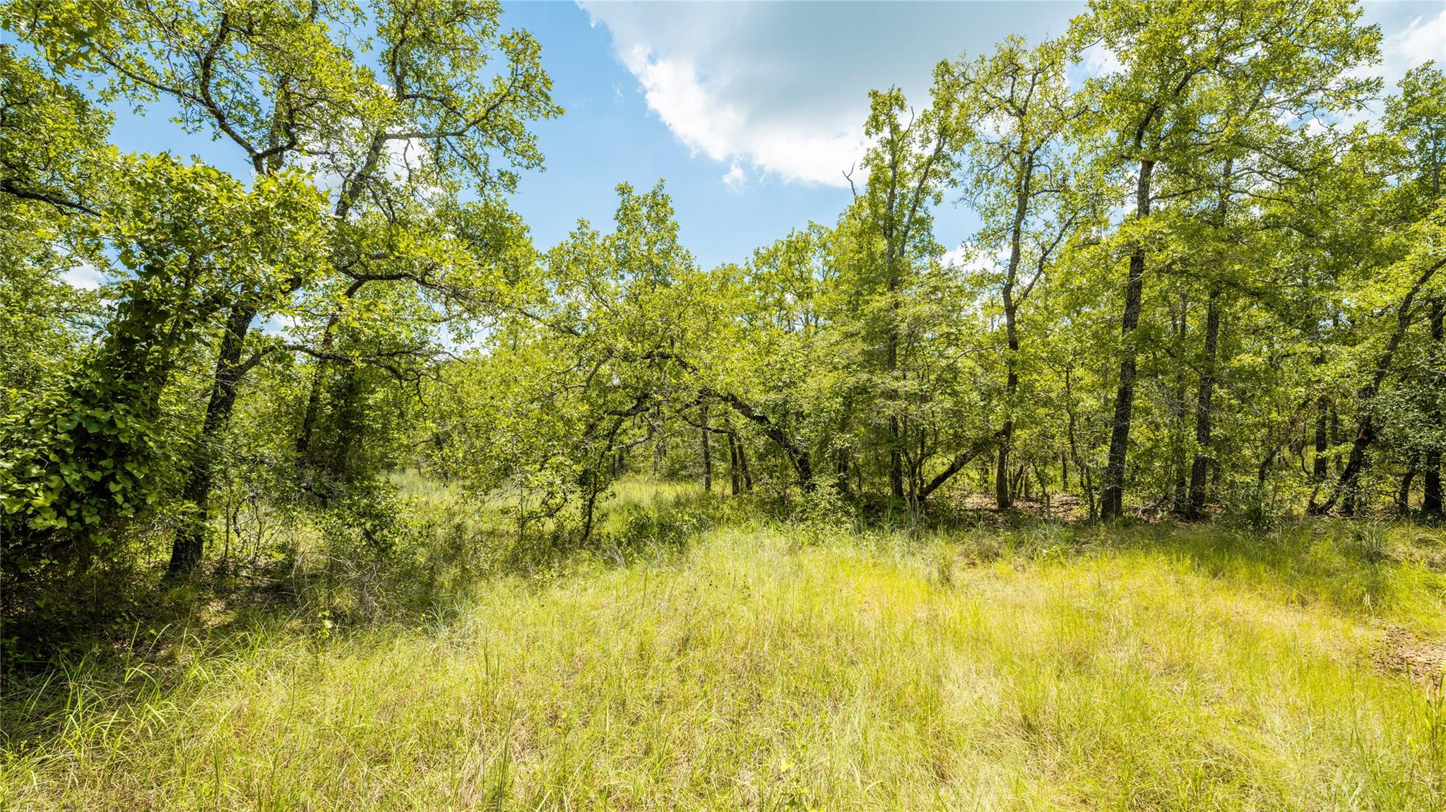 418-F County Road 405 — photo 4