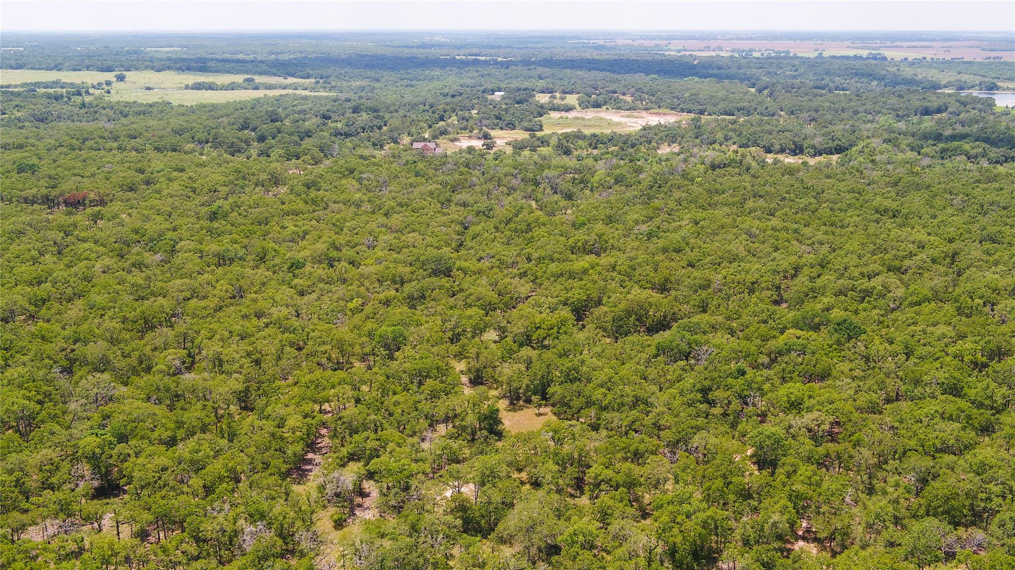 418-F County Road 405 — photo 5