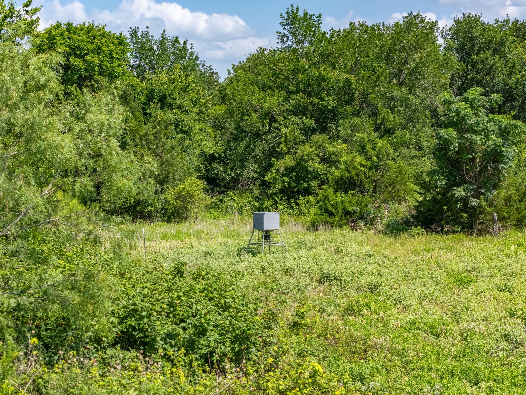 1500 County Road 481 — photo 4