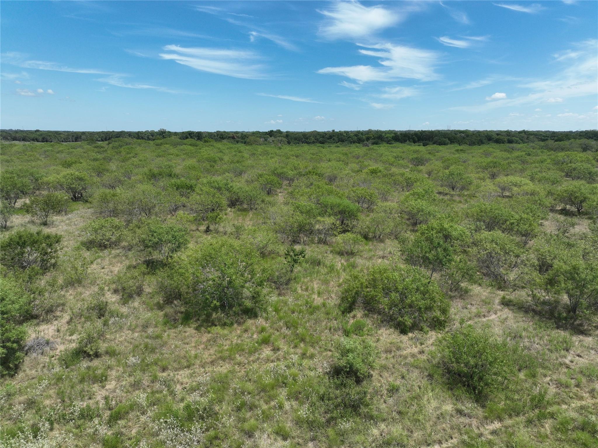 TBD Lot 9 Young LN — photo 4