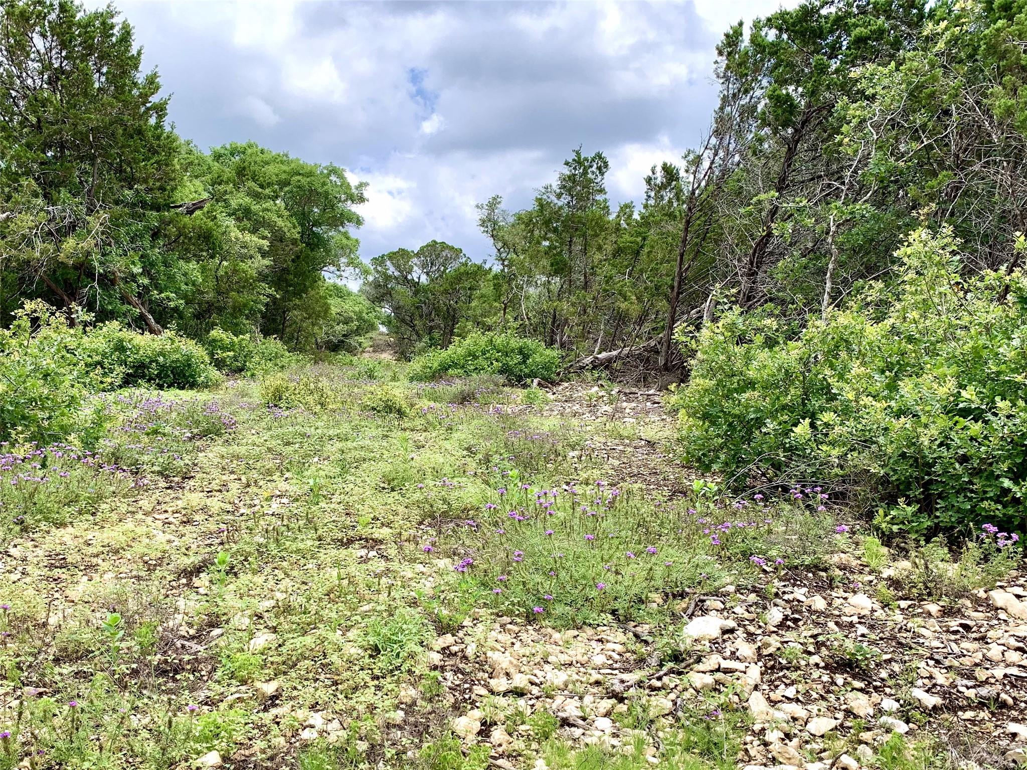 Lot 7 Sawtooth DR — photo 5