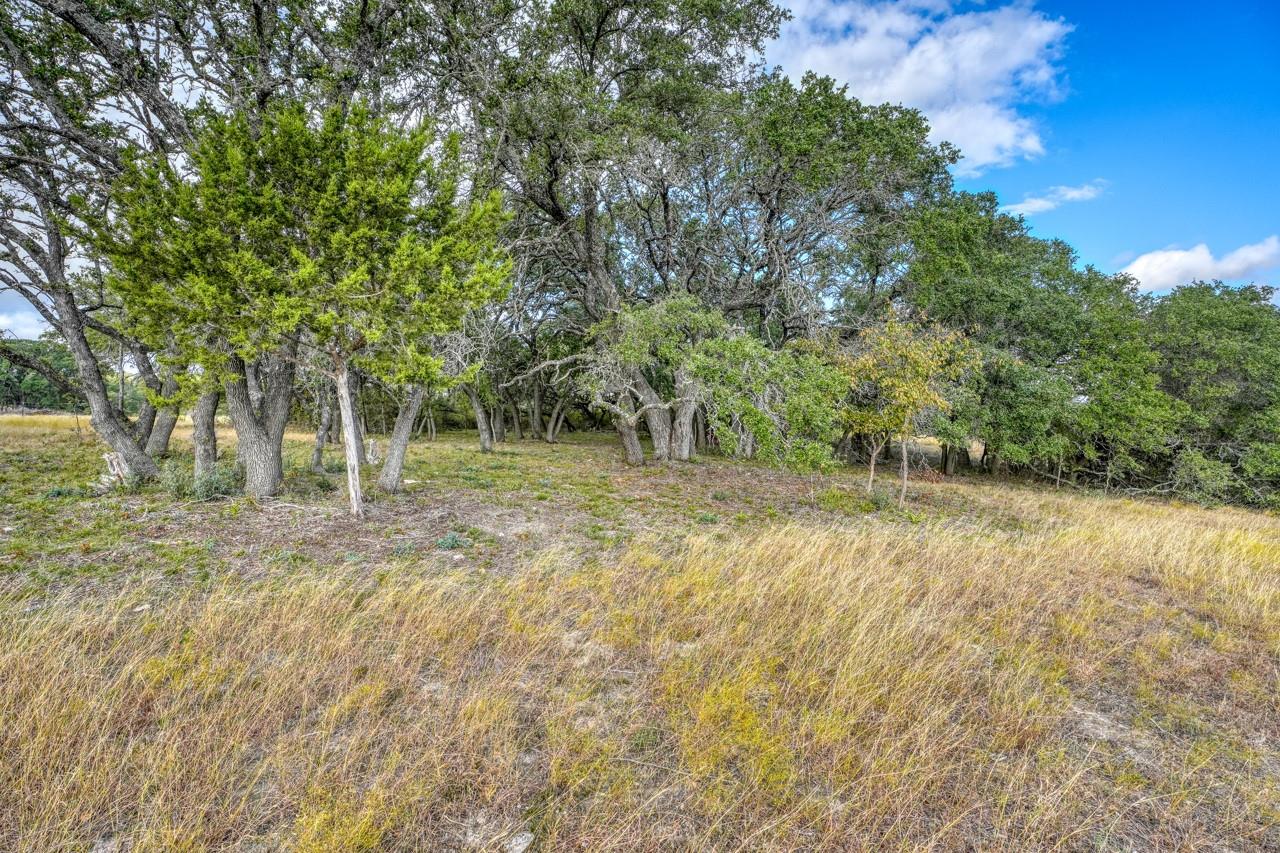 149 County Road 103 — photo 4
