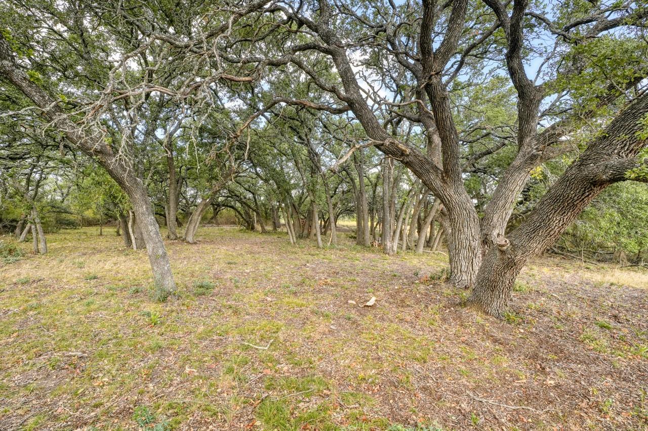 149 County Road 103 — photo 5
