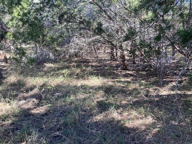 55 York Creek RD — photo 3