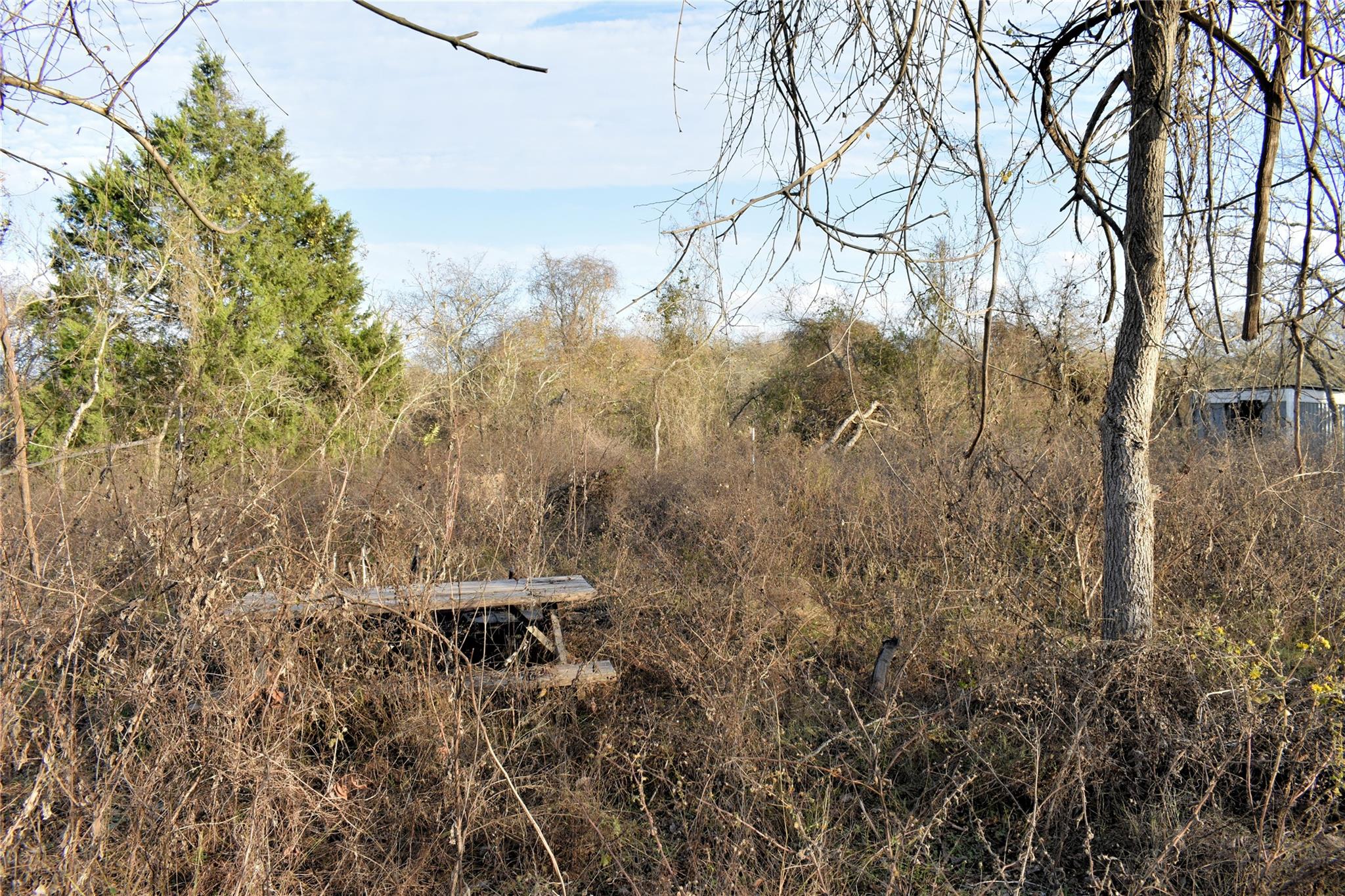 TBD Young RD — photo 5