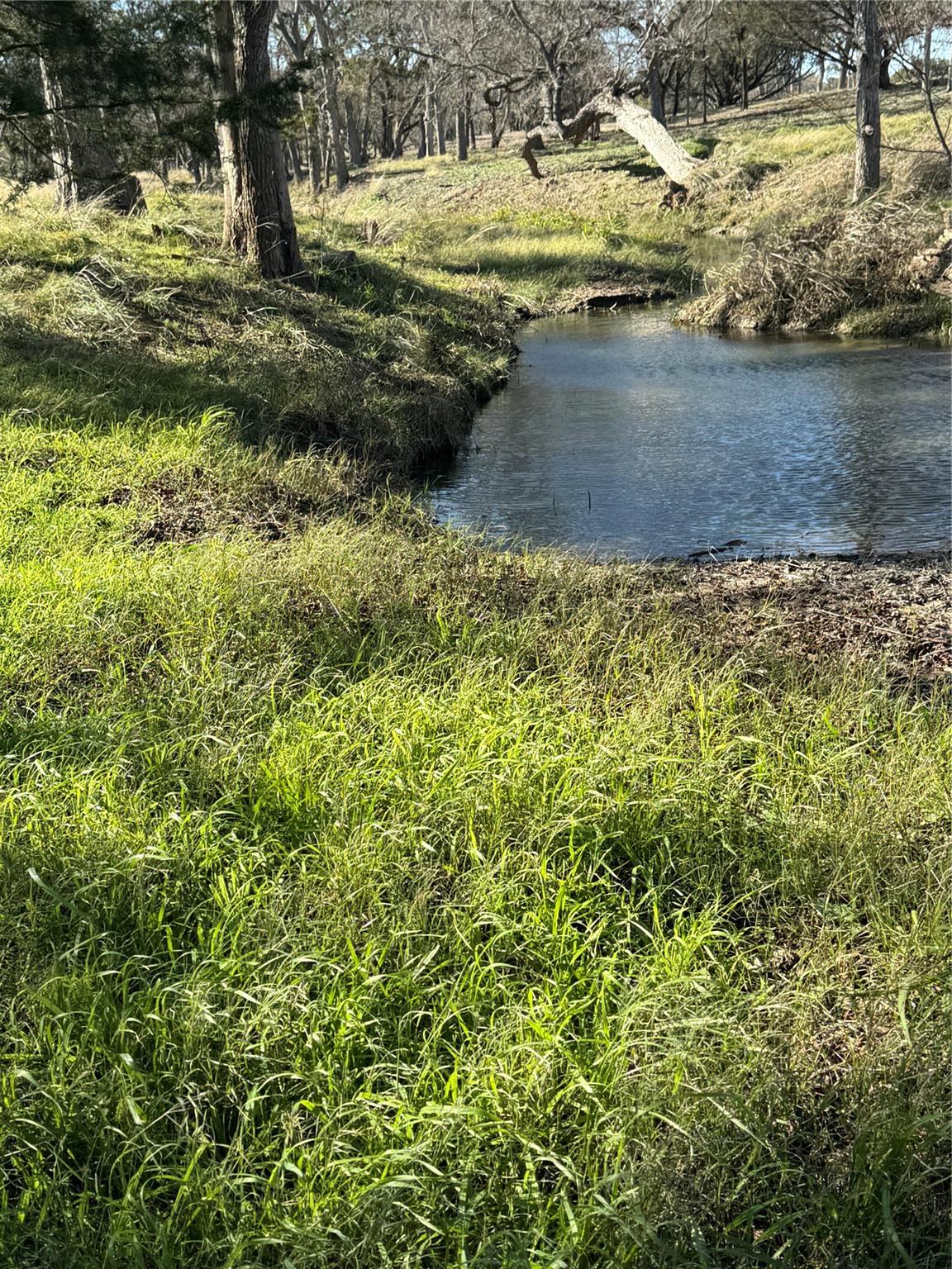 TBD County Road 1320 — photo 3