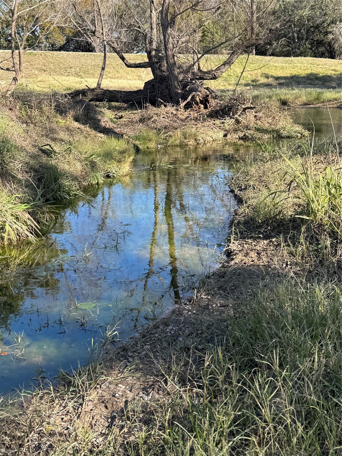 TBD County Road 1320 — photo 4