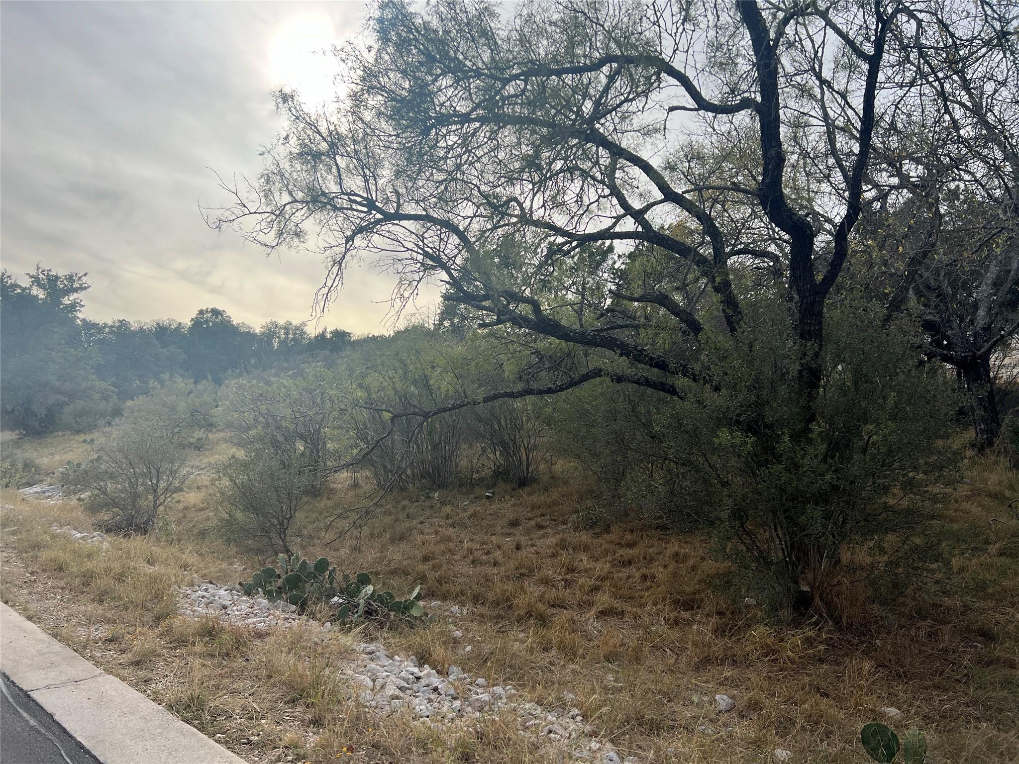 Lot 4143 Out Yonder/Clayton Nolen — photo 4