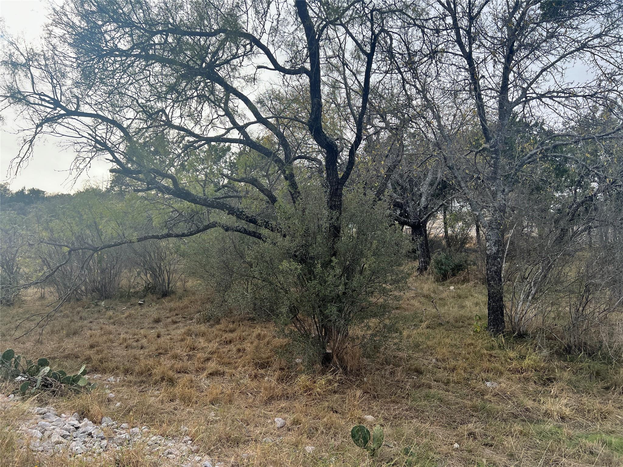 Lot 4143 Out Yonder/Clayton Nolen — photo 5