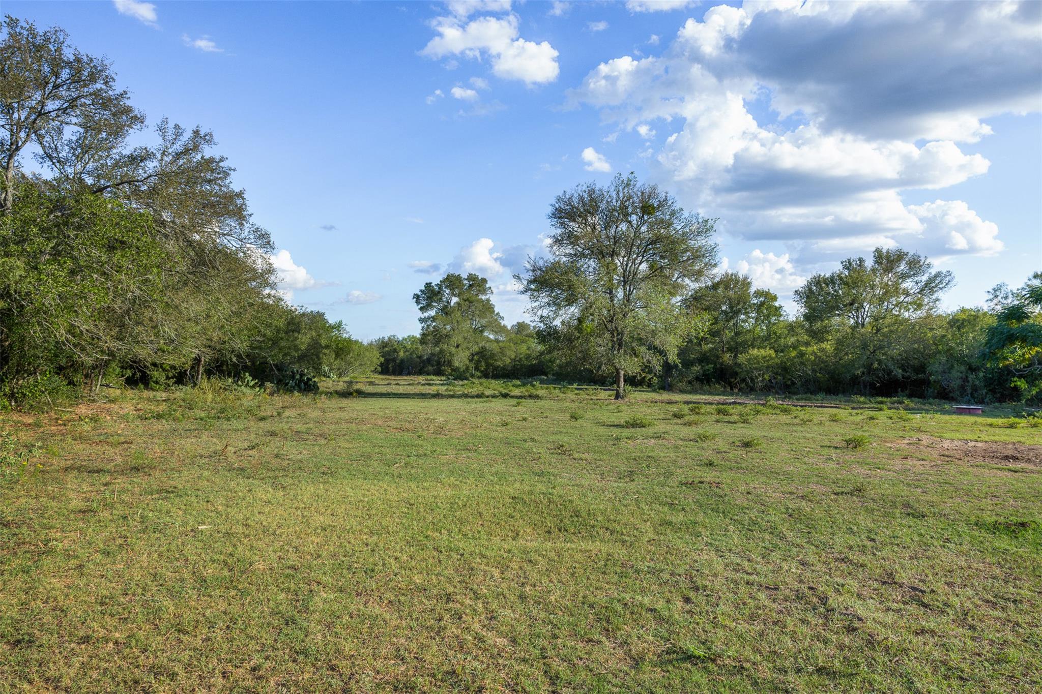 399 Seals Creek RD — photo 5