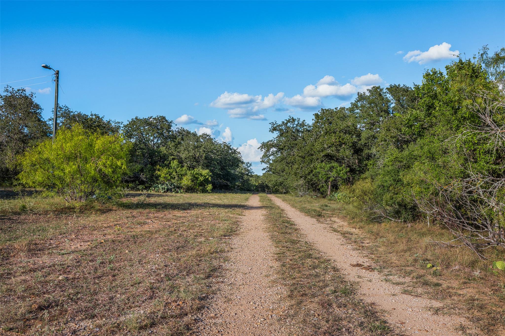 399 Seals Creek RD — photo 4