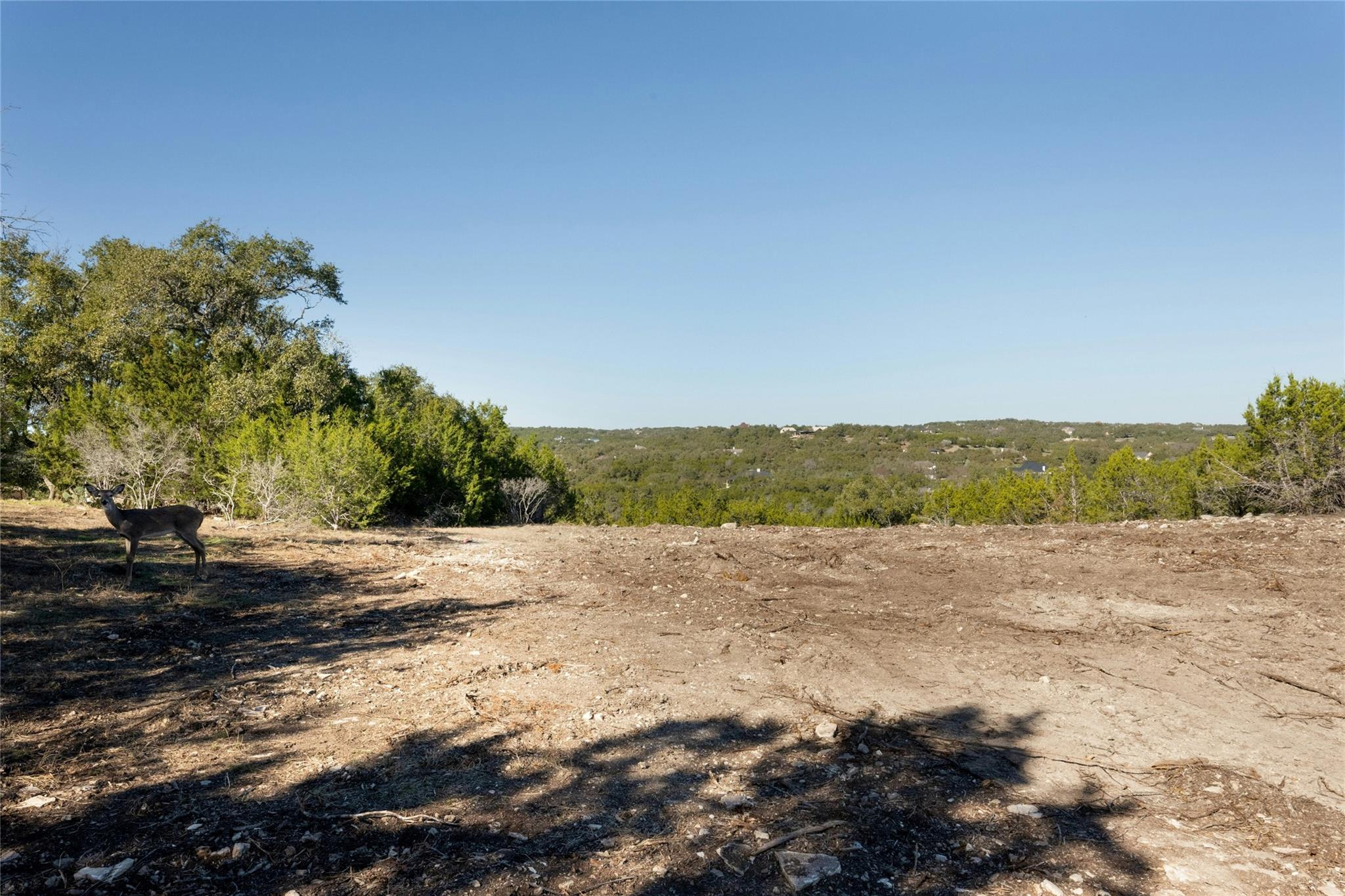 736 Covered Bridge DR — photo 3