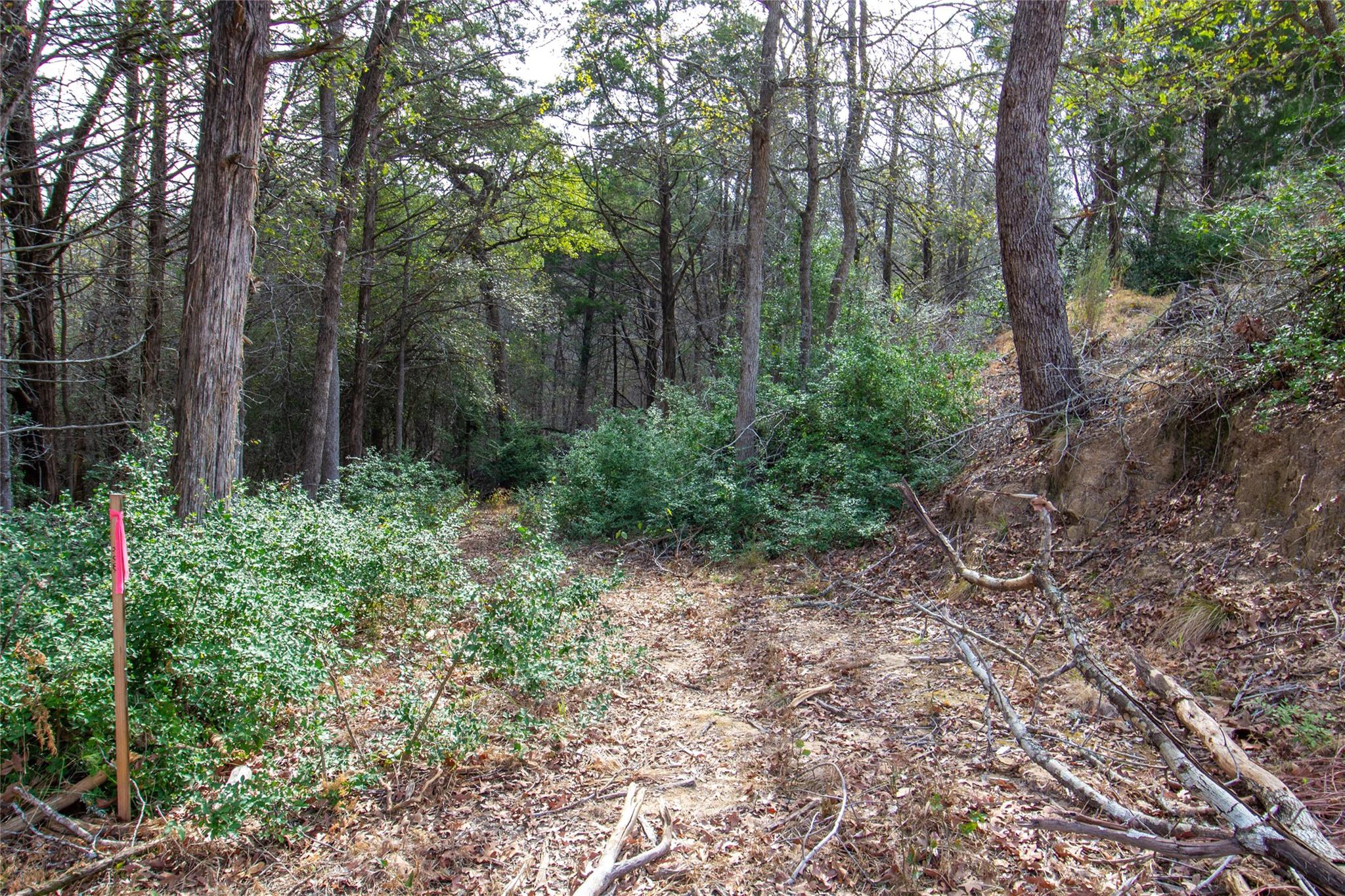TBD Hanauma — photo 4