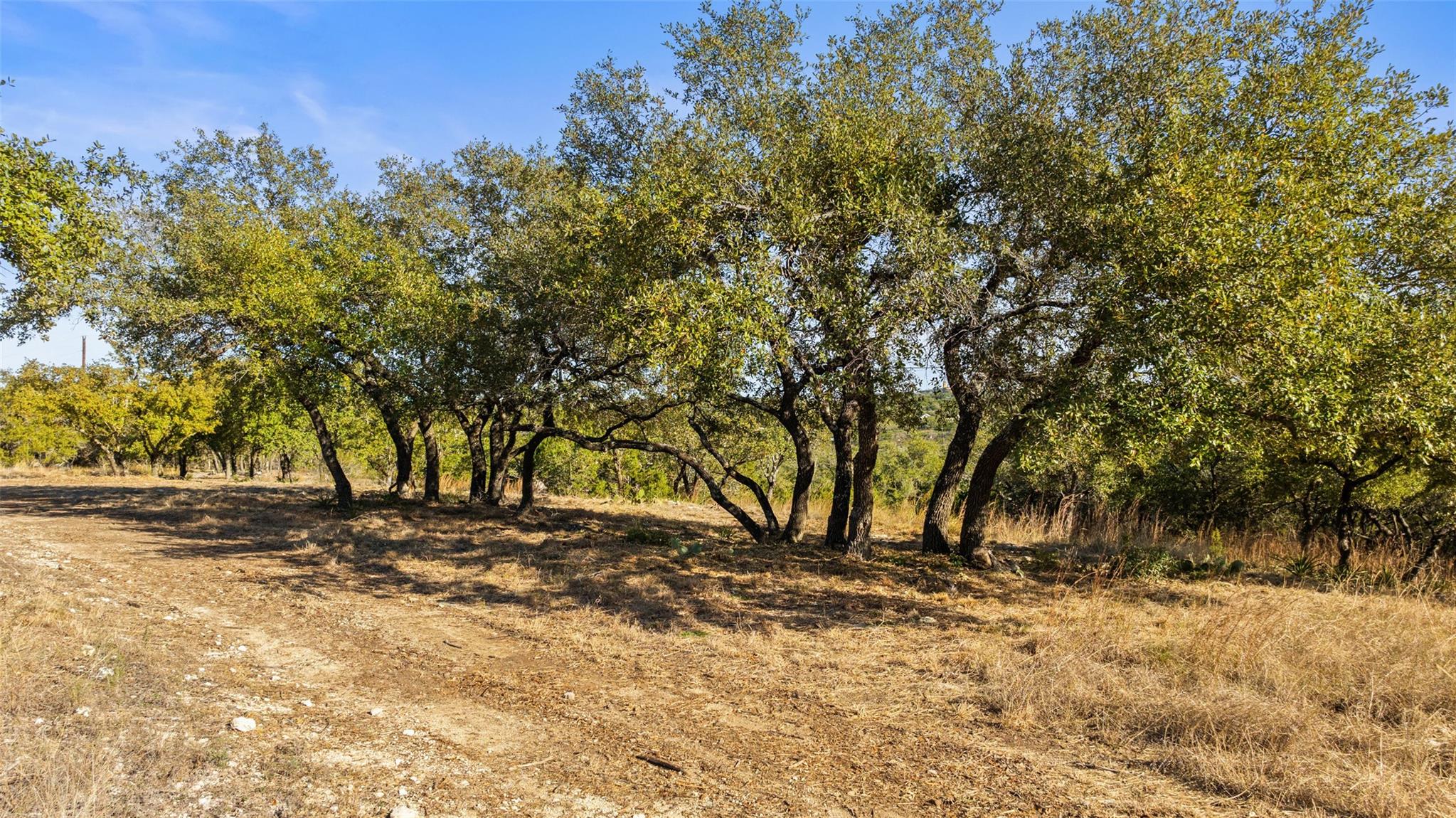 23405 Pedernales Canyon TRL — photo 3