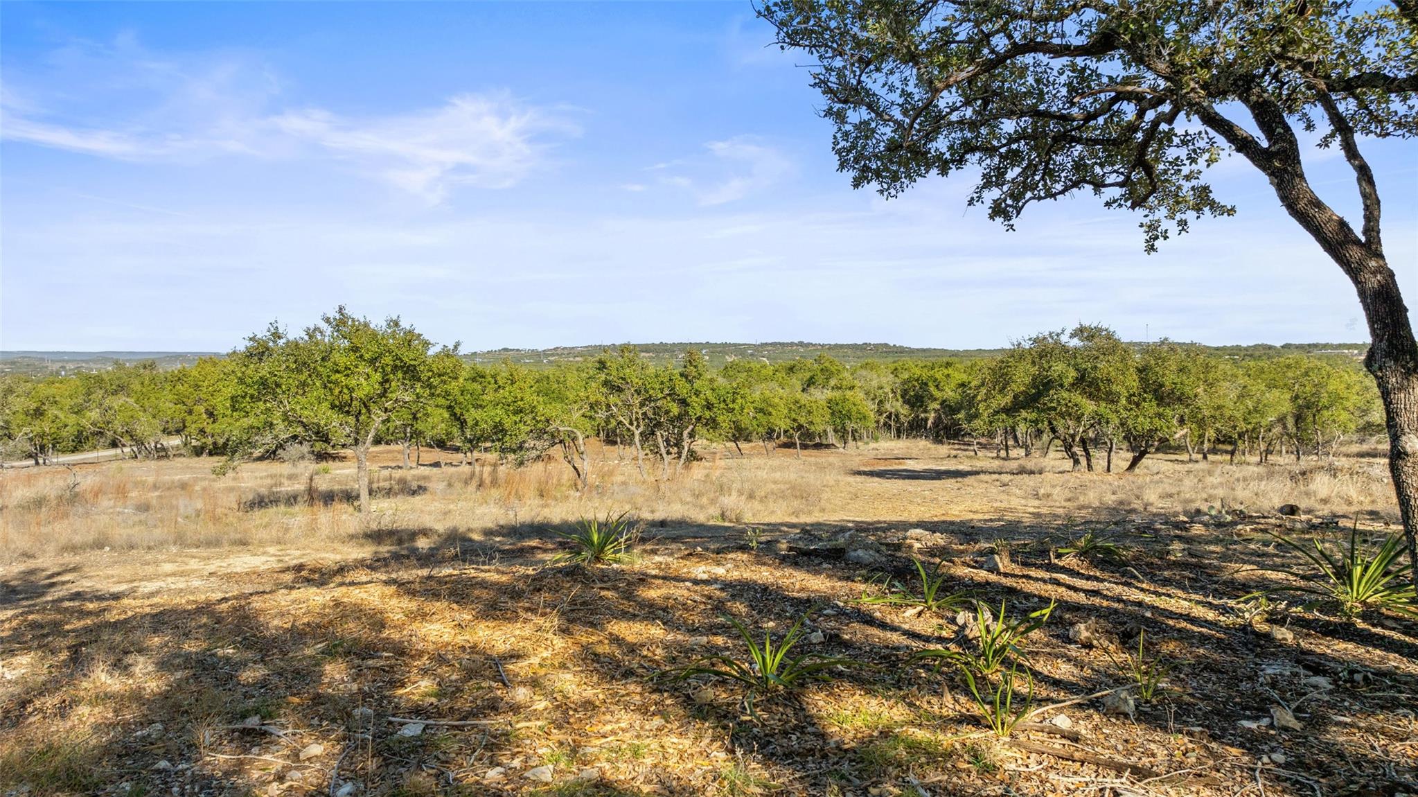 23405 Pedernales Canyon TRL — photo 4