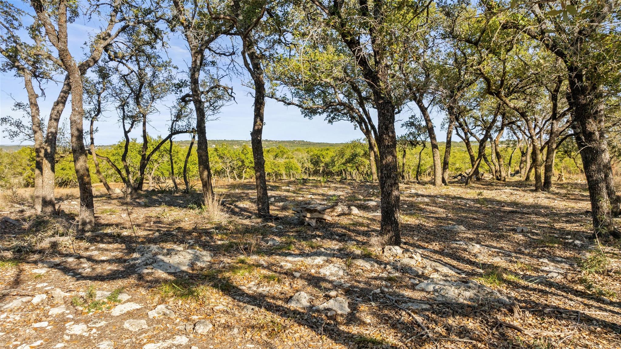 23405 Pedernales Canyon TRL — photo 5