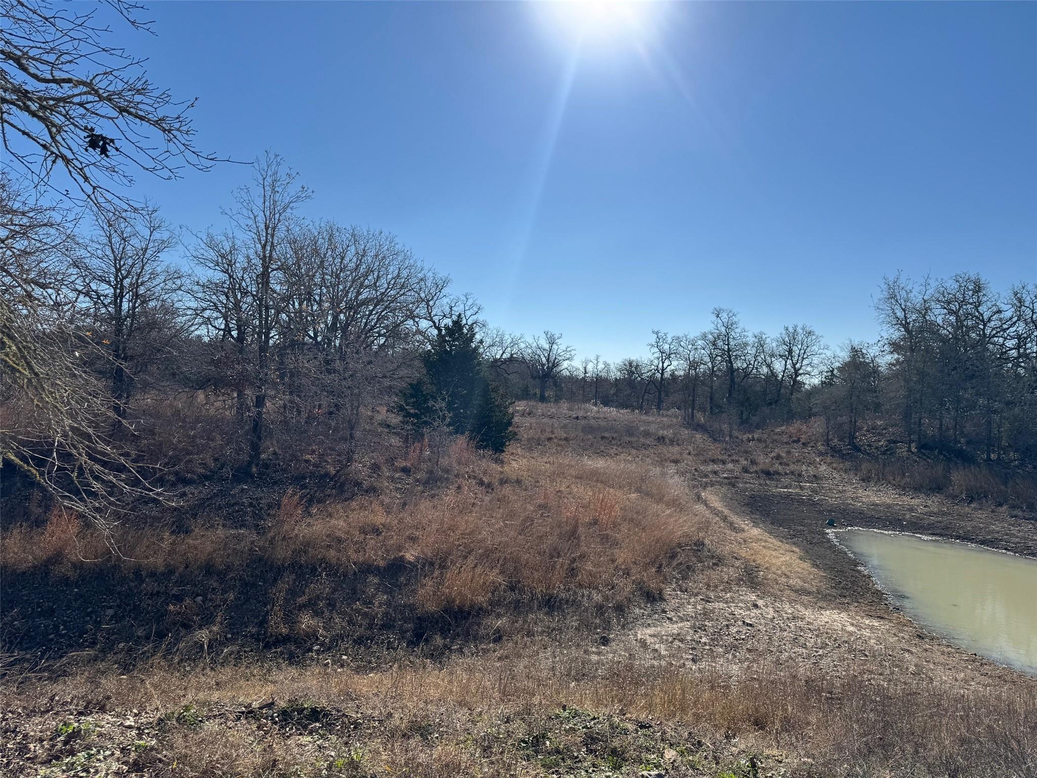 TBD TBD DR — photo 4