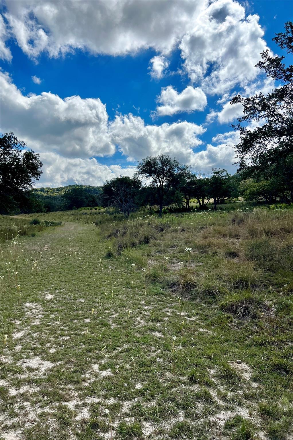 Lot 58 Red Stag LN — photo 5