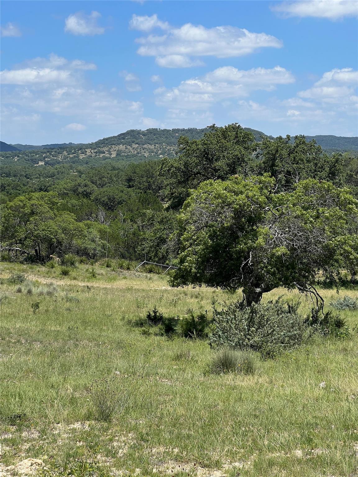 Lot 58 Red Stag LN — photo 4