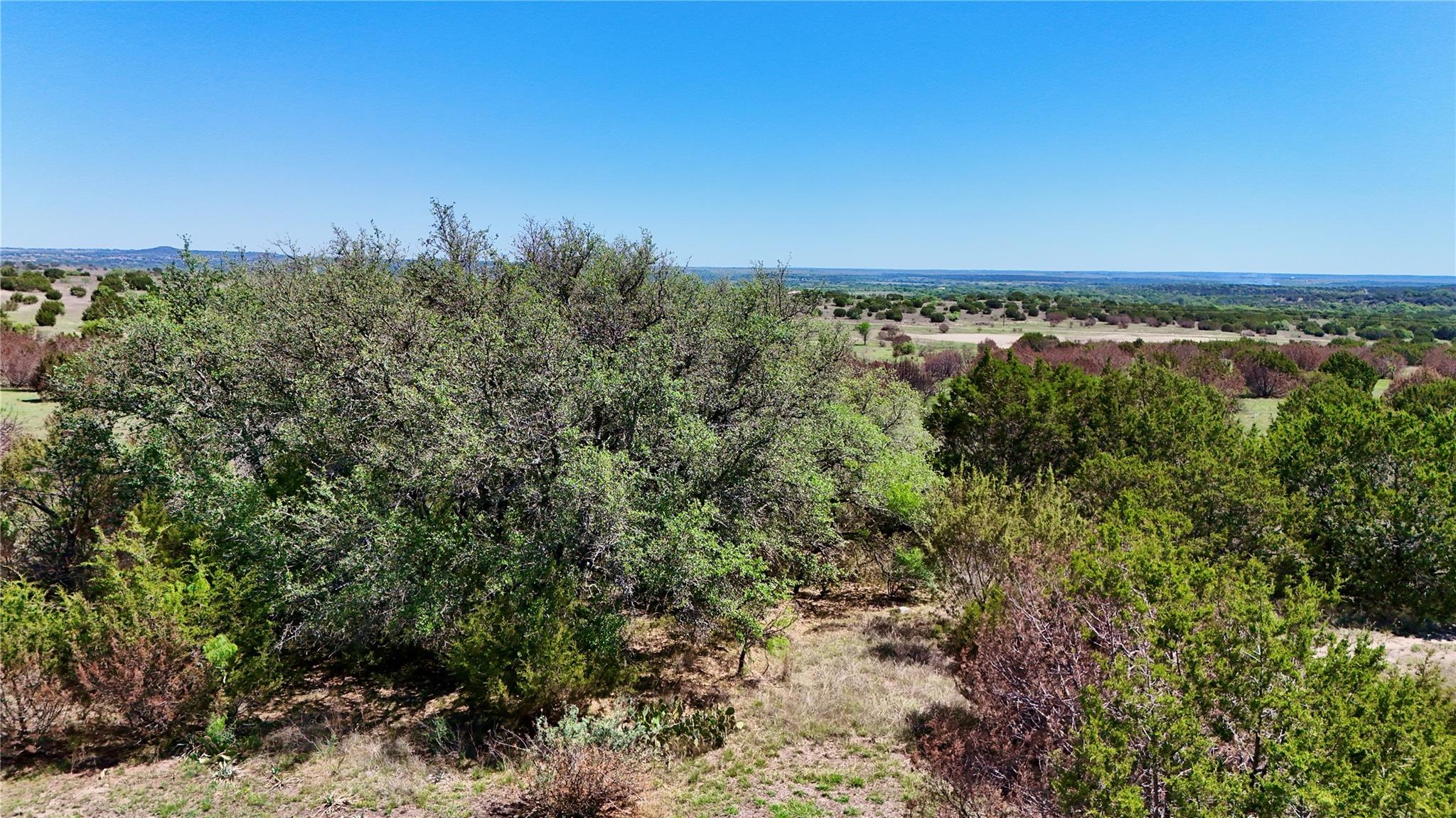 TBD FM 581 — photo 3